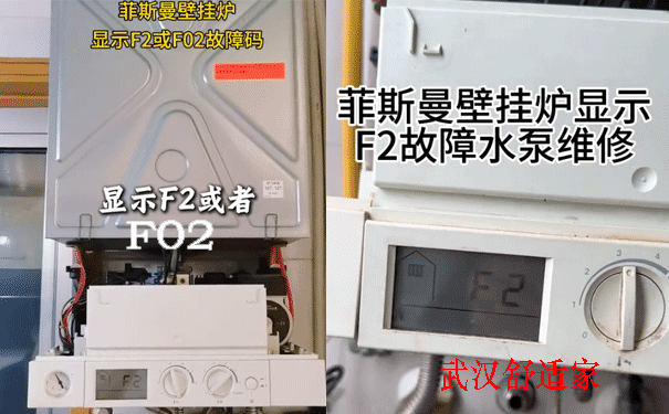 ��˹���ڹ�¯F2ά��